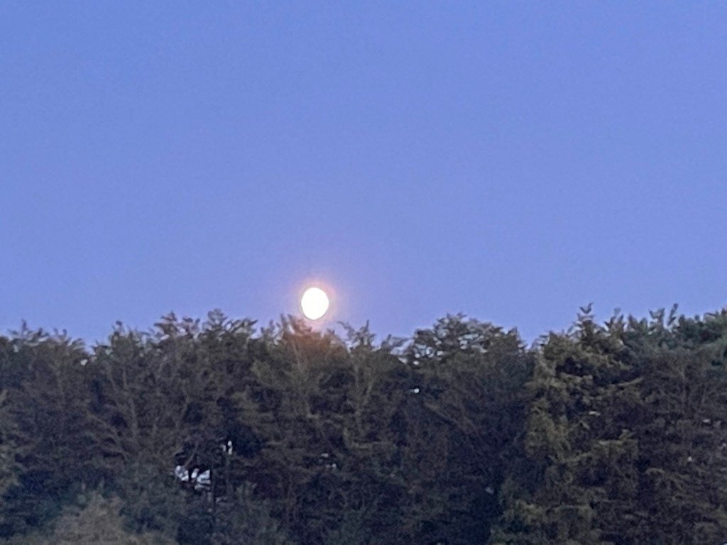 the moon rising over Breck Farm camp site in Norfolk